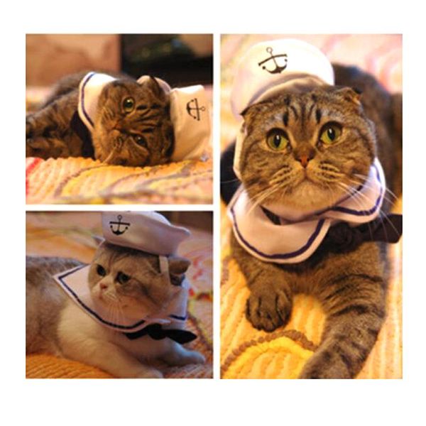 dog apparel funny dressing up adjustable pet puppy cat cosplay costume sailor suit outfit clothes hat& cape navy tie y117
dog apparel funny dressing up adjustable pet puppy cat cosplay costume sailor suit outfit clothes hat& cape navy tie y117