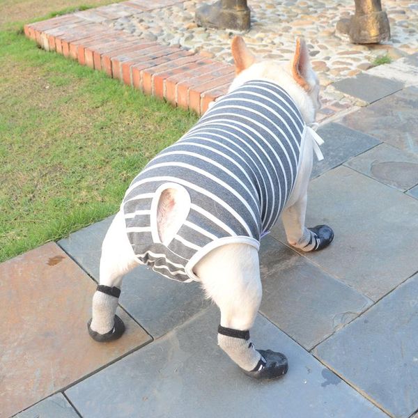 dog apparel jumpsuit winter clothes for cats creative cloth greyhound cosas para perro mascota selling jj60glt
dog apparel jumpsuit winter clothes for cats creative cloth greyhound cosas para perro mascota selling jj60glt