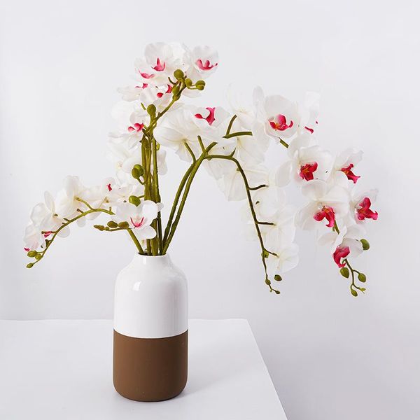 decorative flowers & wreaths 9 heads simulation phalaenopsis real touch silk orchid christmas wedding home decoration artificia
decorative flowers & wreaths 9 heads simulation phalaenopsis real touch silk orchid christmas wedding home decoration artificia