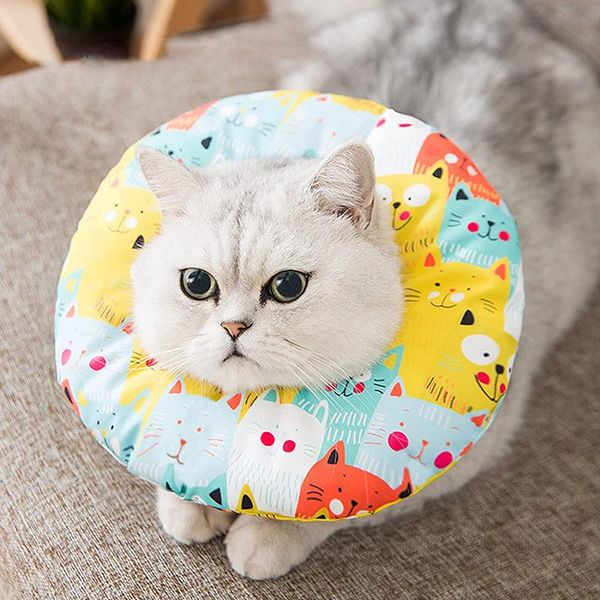 cat collars & leads recovery collar conical soft cotton pet protection with adjustable edge for small cat-dog after
cat collars & leads recovery collar conical soft cotton pet protection with adjustable edge for small cat-dog after