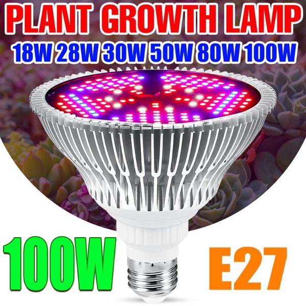 grow lights plant light led full spectrum 220v e14 tent phyto lamp hydroponics bulb e27 fito lampara 18w 28w 30w 50w 80w 100w
grow lights plant light led full spectrum 220v e14 tent phyto lamp hydroponics bulb e27 fito lampara 18w 28w 30w 50w 80w 100w