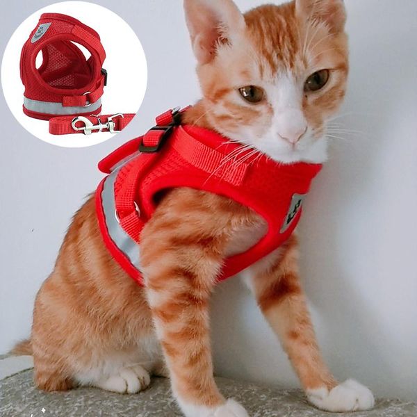 cat collars & leads reflective harness vest for cats nlon mesh pet accessories mascotas perros productos katten kitty harnesses leash
cat collars & leads reflective harness vest for cats nlon mesh pet accessories mascotas perros productos katten kitty harnesses leash