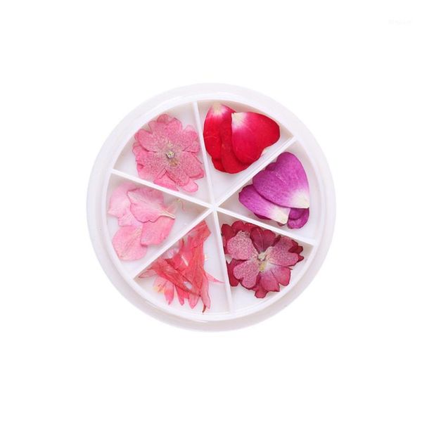 nail art dry petals manicure charm dried flower spring floral nails decals stickers decorations diy accessories set(01)1, Silver;gold
nail art dry petals manicure charm dried flower spring floral nails decals stickers decorations diy accessories set(01)1, Silver;gold