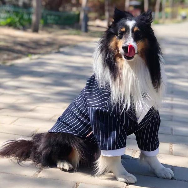 pet wedding clothes for medium large dogs coat striped shirt clothing tuxedo formal dog suit big samoyed husky apparel
pet wedding clothes for medium large dogs coat striped shirt clothing tuxedo formal dog suit big samoyed husky apparel