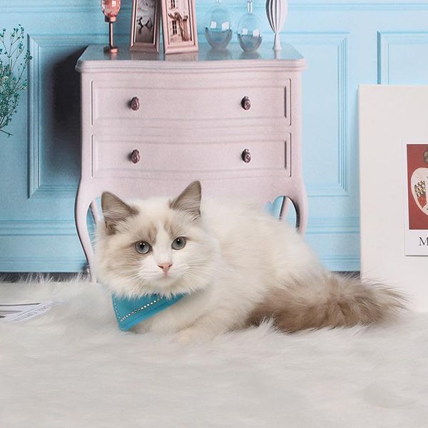 dog collars & leashes little pet collar toy fashion cute cat triangular scarf clothes decoration adjustable
dog collars & leashes little pet collar toy fashion cute cat triangular scarf clothes decoration adjustable