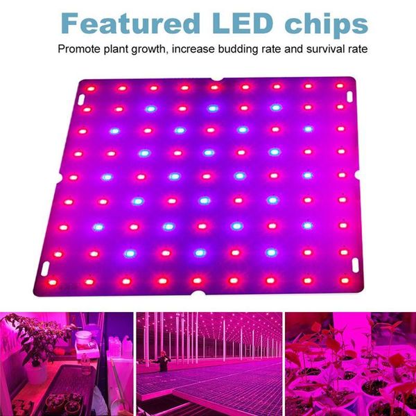 grow lights 81/169 leds 25/45w indoor led light plant growing lamp red blue full spectrum for hydroponic
grow lights 81/169 leds 25/45w indoor led light plant growing lamp red blue full spectrum for hydroponic