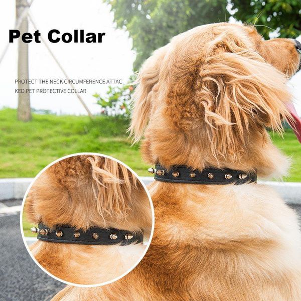 pet dog collar leather cat collars anti-bite rivet for small medium large dogs teddy chihuahua labrador golden retriever & leashes
pet dog collar leather cat collars anti-bite rivet for small medium large dogs teddy chihuahua labrador golden retriever & leashes