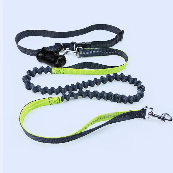 dog collars & leashes dogs leash running outdoors walk elasticity hand y pet products harness collar jogging lead and adjustable waist
dog collars & leashes dogs leash running outdoors walk elasticity hand y pet products harness collar jogging lead and adjustable waist