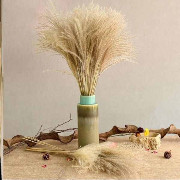 decorative flowers & wreaths nordic ins wind reed dried living room decoration pink hipster fluffy large indoor shooting props
decorative flowers & wreaths nordic ins wind reed dried living room decoration pink hipster fluffy large indoor shooting props