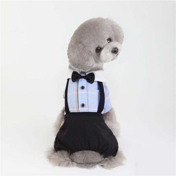dog apparel pet tutu dress cat spring summer stripes rompers clothes for boys small girls bowknot couple clothing
dog apparel pet tutu dress cat spring summer stripes rompers clothes for boys small girls bowknot couple clothing
