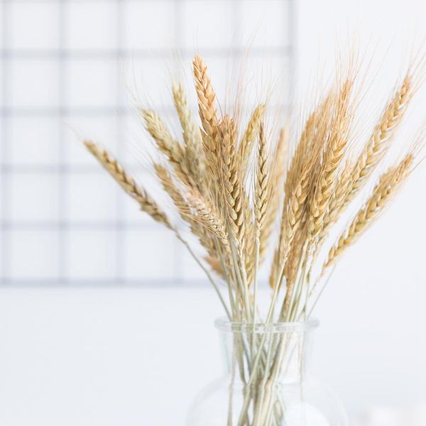 decorative flowers & wreaths real wheat ear flower natural dried for wedding party decoration diy craft scrapbook home decor bouquet
decorative flowers & wreaths real wheat ear flower natural dried for wedding party decoration diy craft scrapbook home decor bouquet