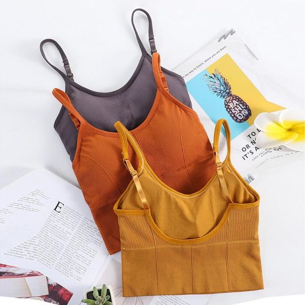 yoga outfit women crop tube seamless underwear female girls streetwear intimates lingerie padded bra bandeau
yoga outfit women crop tube seamless underwear female girls streetwear intimates lingerie padded bra bandeau