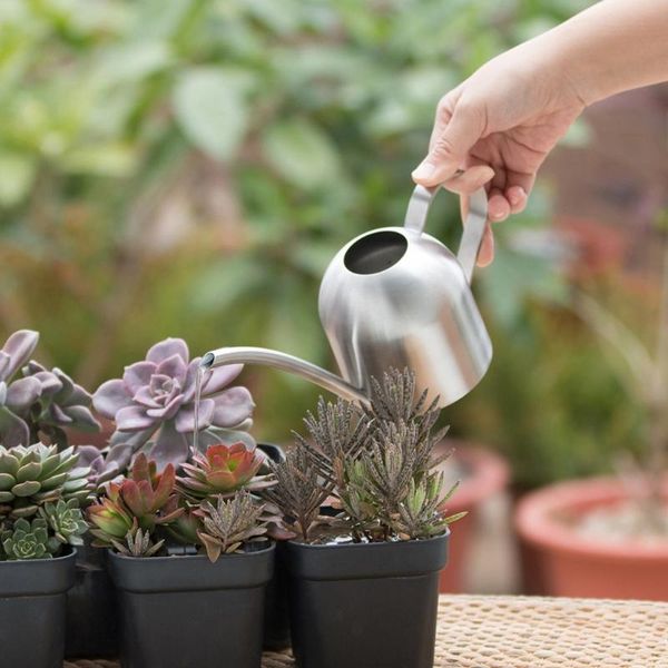 500ml watering can modern style stainless steel pot kettle with long spout nozzle for indoor outdoor plants flowers hom equipments
500ml watering can modern style stainless steel pot kettle with long spout nozzle for indoor outdoor plants flowers hom equipments