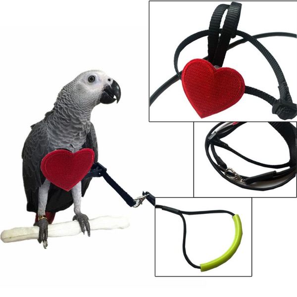 other bird supplies adjustable parrot harness leash set anti-bite pet training outdoor flying rope small accessories
other bird supplies adjustable parrot harness leash set anti-bite pet training outdoor flying rope small accessories