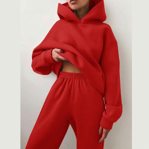 women's two piece pants set oversized solid female sports hoodie suit tracksuit autumn plus fleece sweatshirts casual long pant sets, White
women's two piece pants set oversized solid female sports hoodie suit tracksuit autumn plus fleece sweatshirts casual long pant sets, White