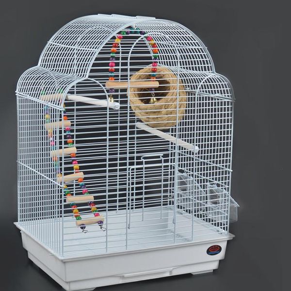 special offer bird cage parrot tiger skin peony black phoenix golden sun monk starling common cages
special offer bird cage parrot tiger skin peony black phoenix golden sun monk starling common cages