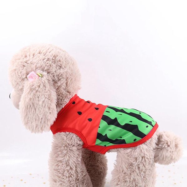 dog apparel pet sleeveless t-shirt vest fashion comfortable breathable portable small summer simple
dog apparel pet sleeveless t-shirt vest fashion comfortable breathable portable small summer simple