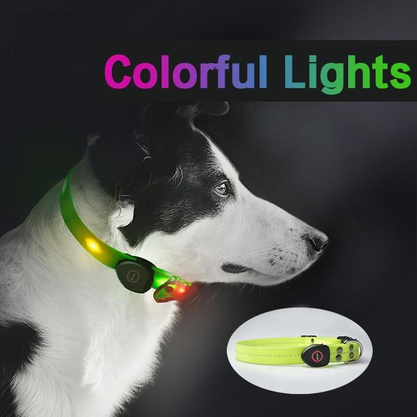 pet dog cat collar usb rechargeable flashing led light safety luminous for small big dogs chihuahua husky collars supplies & leashes
pet dog cat collar usb rechargeable flashing led light safety luminous for small big dogs chihuahua husky collars supplies & leashes