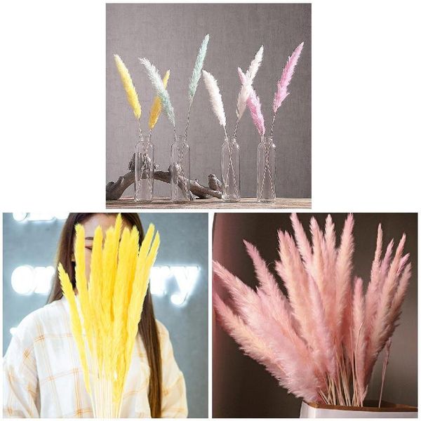 decorative flowers & wreaths 15 pcs dried small pampas grass phragmites communis decoration for home store wedding free
decorative flowers & wreaths 15 pcs dried small pampas grass phragmites communis decoration for home store wedding free