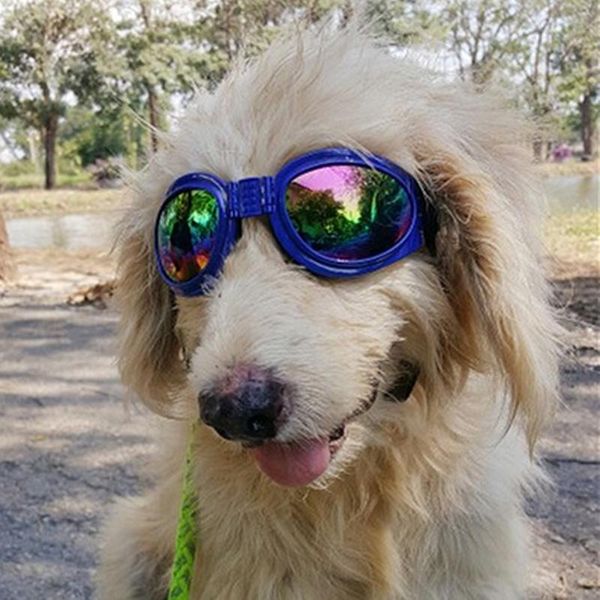 foldable size googles pet dog sunglasses accessories collapsible windproof eye wear protection goggles apparel
foldable size googles pet dog sunglasses accessories collapsible windproof eye wear protection goggles apparel