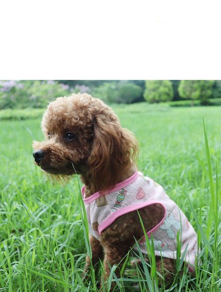 dog apparel summer printing shirts sleeveless linen flax casual pet vest breathable comfortable puppy clothes costume t-shirt xs-xl
dog apparel summer printing shirts sleeveless linen flax casual pet vest breathable comfortable puppy clothes costume t-shirt xs-xl