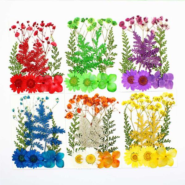 decorative flowers & wreaths 1pack embossed real flower pack pressed material petal face wedding bride makeup diy decoration
decorative flowers & wreaths 1pack embossed real flower pack pressed material petal face wedding bride makeup diy decoration