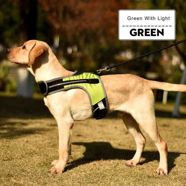 dog collars & leashes durable luminous led collar reflective safety harness vest for pet supplies dtt88
dog collars & leashes durable luminous led collar reflective safety harness vest for pet supplies dtt88