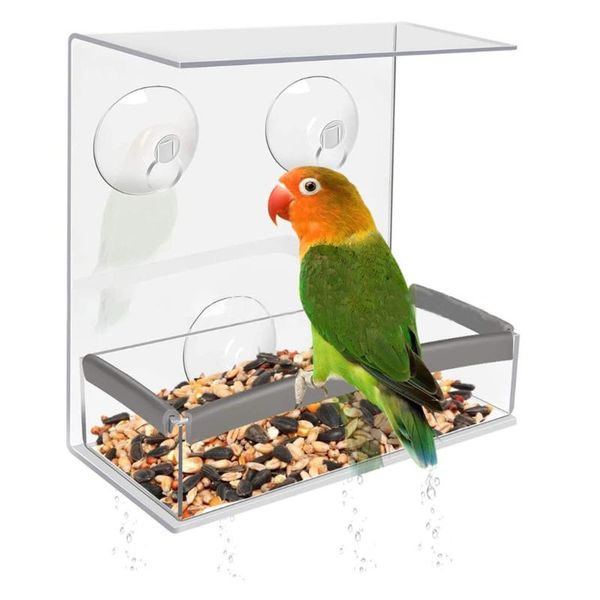 other bird supplies outdoor transparent acrylic fixed feeder for birds and small animals automatic feeding device accessories
other bird supplies outdoor transparent acrylic fixed feeder for birds and small animals automatic feeding device accessories