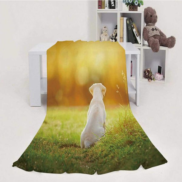 Labrador Dog Puppy on Meadow by Sunset with Cartoon Look Dog,Soft Luxuries Throw Blanket Microfiber Soft Throw Backgrounds
Labrador Dog Puppy on Meadow by Sunset with Cartoon Look Dog,Soft Luxuries Throw Blanket Microfiber Soft Throw Backgrounds
