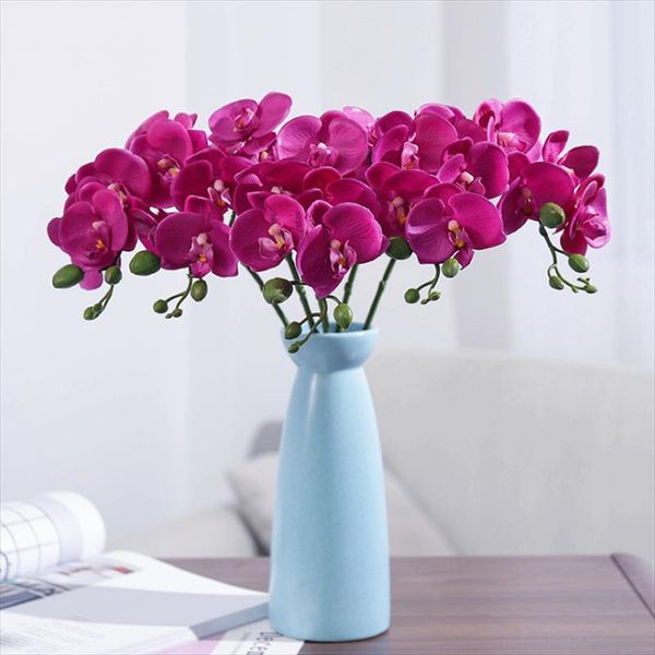 decorative flowers & wreaths phalaenopsis flower arrangement simulation plant party christmas decoration wedding living room restaurant art
decorative flowers & wreaths phalaenopsis flower arrangement simulation plant party christmas decoration wedding living room restaurant art