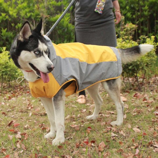 dog apparel raincoat large size waterproof outdoor sport rain coat for small medium clothes summer rainny
dog apparel raincoat large size waterproof outdoor sport rain coat for small medium clothes summer rainny