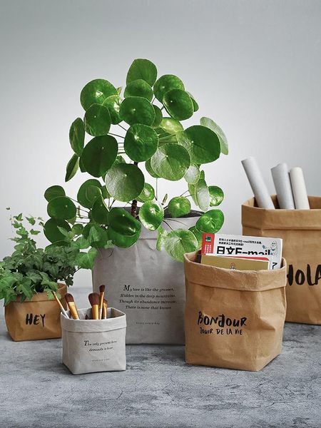 storage bags shimoyama succulents planter pot washable kraft paper flowerpot creative deskflower pots reuseable multifunction bag
storage bags shimoyama succulents planter pot washable kraft paper flowerpot creative deskflower pots reuseable multifunction bag