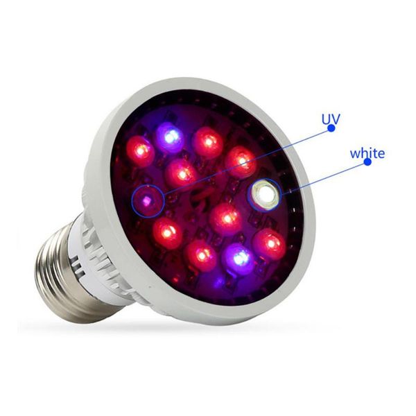 plant grow light e27 lamp head flower indoor greenhouse nursery lamps seedling for hydroponics vegetable lights
plant grow light e27 lamp head flower indoor greenhouse nursery lamps seedling for hydroponics vegetable lights