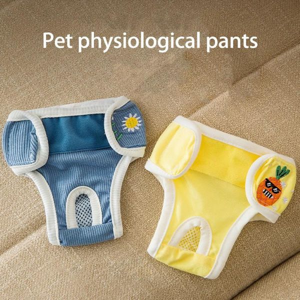 cat costumes female dog physiological sanitary pants, washable reusable menstrual care pet anti-harassment pants for small, medium
cat costumes female dog physiological sanitary pants, washable reusable menstrual care pet anti-harassment pants for small, medium