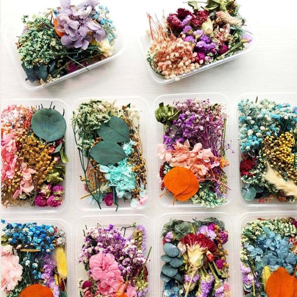 decorative flowers & wreaths dried package mixed eternal and foliage for diy candles greeting card epoxy craft decor mdj998
decorative flowers & wreaths dried package mixed eternal and foliage for diy candles greeting card epoxy craft decor mdj998