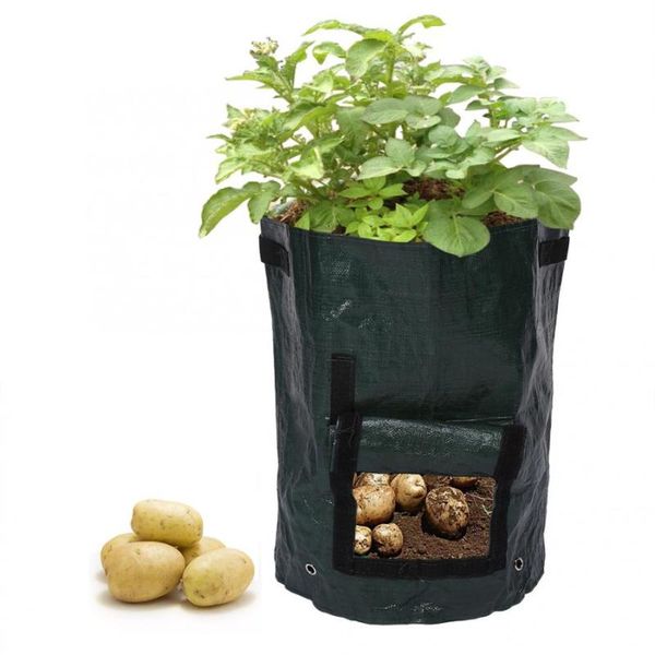 planters & pots diy potato grow planter pe cloth planting container bag garden pot eco-friendly vegetables flower
planters & pots diy potato grow planter pe cloth planting container bag garden pot eco-friendly vegetables flower