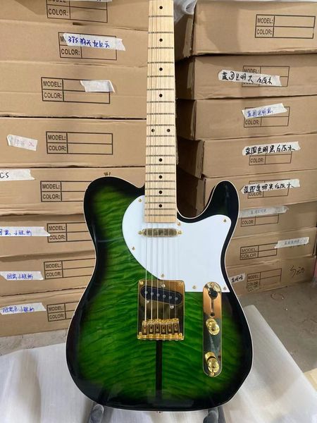 dog electric guitar cloud maple golden hardware black circle green maple fingerboard
dog electric guitar cloud maple golden hardware black circle green maple fingerboard