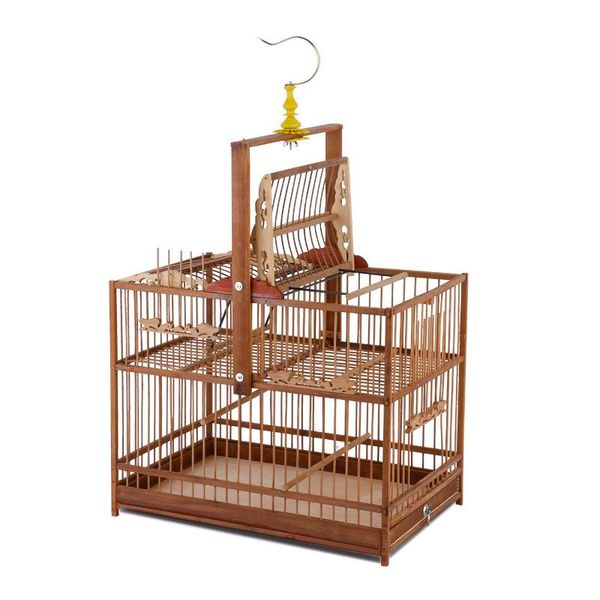 bird cages the purple bamboo beat cage step thrush embroider eye keep acacia sparrow
bird cages the purple bamboo beat cage step thrush embroider eye keep acacia sparrow