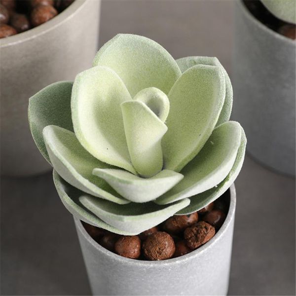 decorative flowers & wreaths artificial succulent flower home office fake plant decoration eva floral decor
decorative flowers & wreaths artificial succulent flower home office fake plant decoration eva floral decor