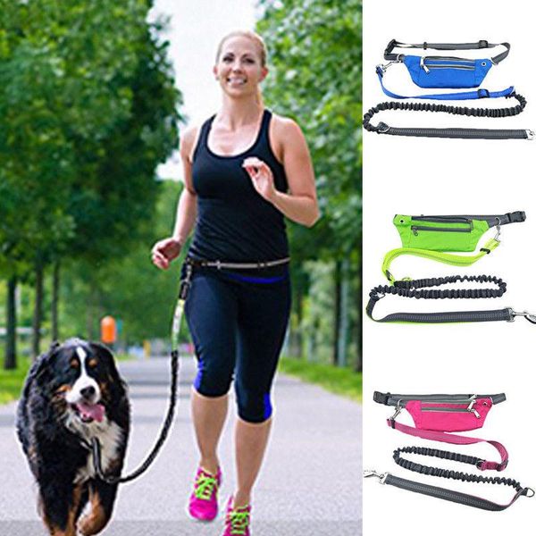 dog car seat covers waist bag with leash pouch phone for walking running hiking
dog car seat covers waist bag with leash pouch phone for walking running hiking