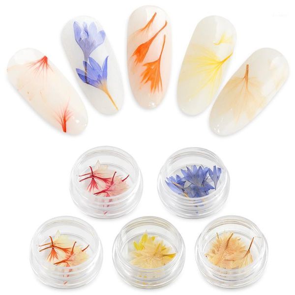 mtssii 1box blue nail dried flowers art decoration diy tips with box small nails rhinestones for manicure tools1, Silver;gold
mtssii 1box blue nail dried flowers art decoration diy tips with box small nails rhinestones for manicure tools1, Silver;gold