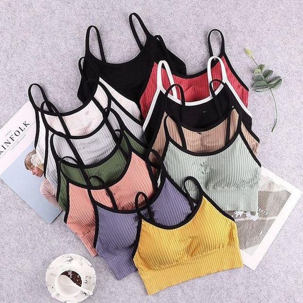 yoga outfit sports bra striped vest tube student no steel ring girl thin underwear cotton soft comfort
yoga outfit sports bra striped vest tube student no steel ring girl thin underwear cotton soft comfort