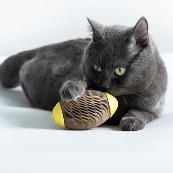cat toys cardboard scratch ball pet toy kitten for cats oval catnip round refillable indoor interactive
cat toys cardboard scratch ball pet toy kitten for cats oval catnip round refillable indoor interactive