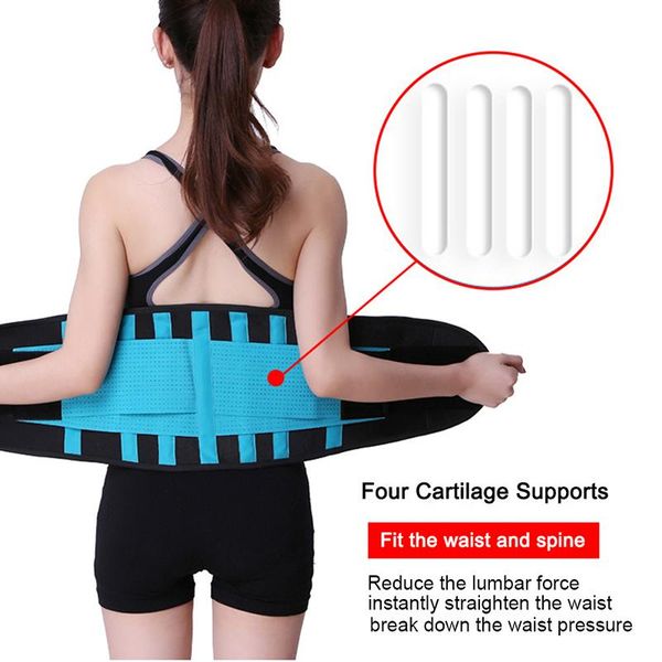 women men waist trimmer belt lumbar back support brace fitness weightlifting adjustable abdominal elastic trainer, Black;gray
women men waist trimmer belt lumbar back support brace fitness weightlifting adjustable abdominal elastic trainer, Black;gray