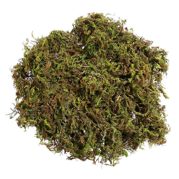 packs artificial moss lichen simulation fake green plants for home garden patio decoration (about 60g) decorative flowers & wreaths
packs artificial moss lichen simulation fake green plants for home garden patio decoration (about 60g) decorative flowers & wreaths