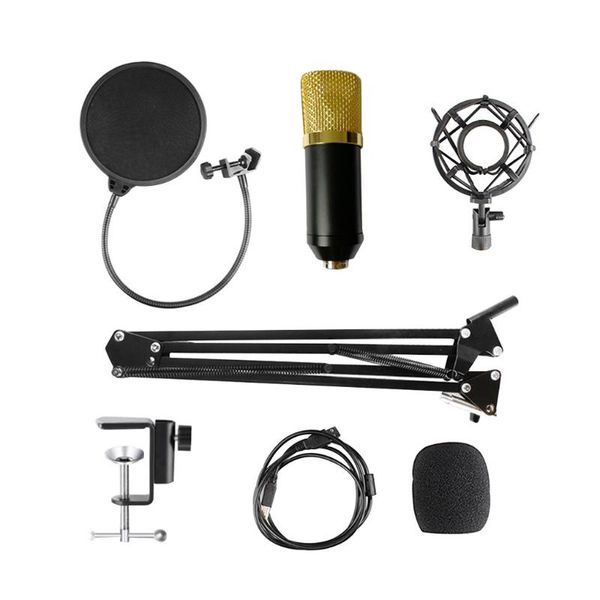 microphones portable usb condenser recording microphone with stand professional studio broadcasting set
microphones portable usb condenser recording microphone with stand professional studio broadcasting set