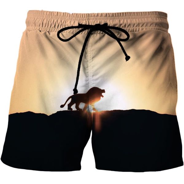 men's shorts summer animal graphic lion beach short pants for man 3d pattern boardshort men pant drop, White;black
men's shorts summer animal graphic lion beach short pants for man 3d pattern boardshort men pant drop, White;black