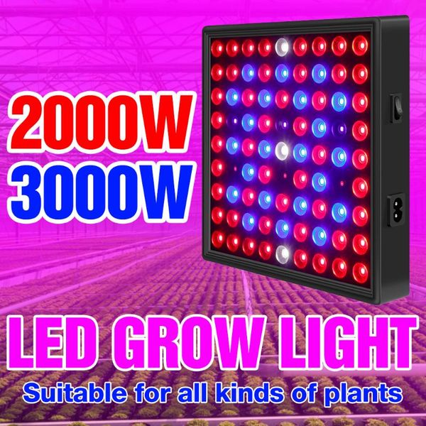 full spectrum led plant growth light 220v phyto lamp growing bulb 2000w 3000w waterproof fito lamps for flower grow lighting lights
full spectrum led plant growth light 220v phyto lamp growing bulb 2000w 3000w waterproof fito lamps for flower grow lighting lights