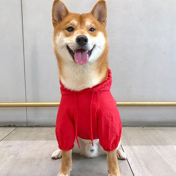 kokobin pet dog raincoat summer small and medium-sized waterproof clothes breathable sunscreen hooded shiba inu apparel
kokobin pet dog raincoat summer small and medium-sized waterproof clothes breathable sunscreen hooded shiba inu apparel