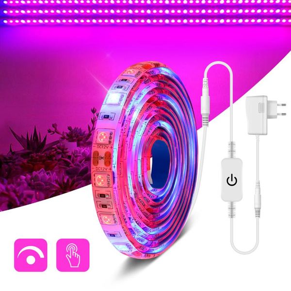 strips led light with touch switch waterproof dimmable plant grow full spectrum phyto lamp for greenhouse hydroponic
strips led light with touch switch waterproof dimmable plant grow full spectrum phyto lamp for greenhouse hydroponic